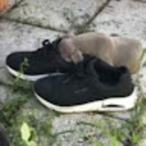 Meet your Posher, Travis